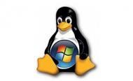 Soluções especializadas em Servidores, Windows e Linux.